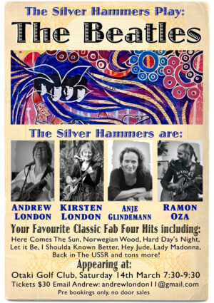 Silver Hammers Generic no copy